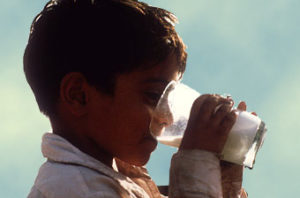 Boy and milk.jpg