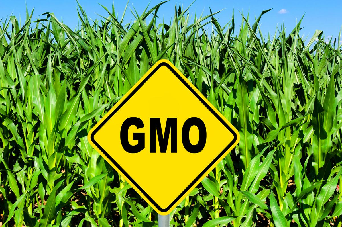 USDA Begins Work On Bioengineered Food Standard NMPF usda-begins-work-on-bioengineered-food-standard-nmpf