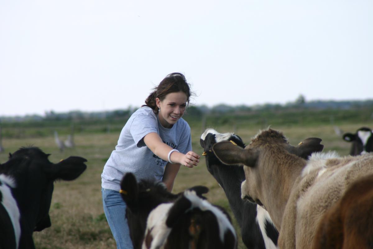 Young woman smiling and petting cows in field