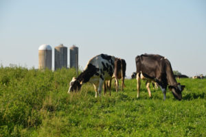 National Dairy FARM Program
