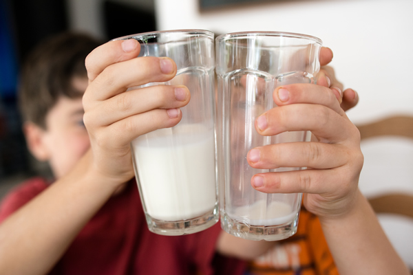 dairyidfa