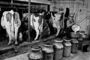 Photo_Ag Marketing Act 1937 (1)