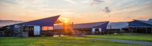 Farm at sunset