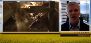 TV INTERVIEW- NMPF's Bjerga on Holiday Dairy Demand, Milk Pricing