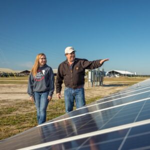 Man and woman walk together in solar panel field