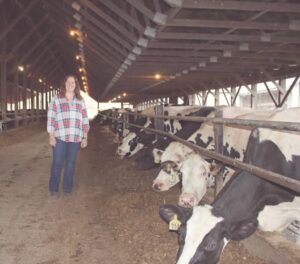 Lavigne with cows
