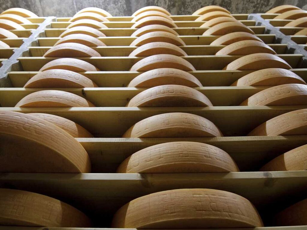 Gruyere cheese wheels mature in a giant NMPF