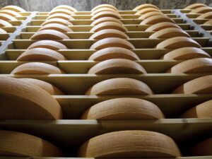 Gruyere cheese wheels mature in a giant cellar in Bulle