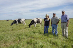 Two men and a woman stand in a grassy cow field