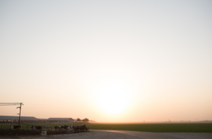 California dairy farm - Land O'Lakes, Inc.